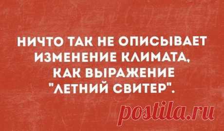 Прикольные высказывания, анекдоты и байки. Смешные надписи на картинках