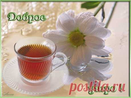 НЕЖНОГО ПРОБУЖДЕНИЯ