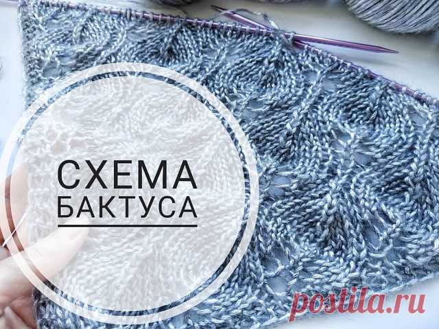 Ажурный бактус спицами. Схемы вязания