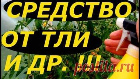 ОБАЛДЕННОЕ СУПЕР СРЕДСТВО ОТ ТЛИ, МУРАВЬЕВ И ДРУГИХ ВРЕДИТЕЛЕЙ НА РАСТЕНИЯХ