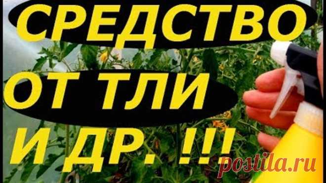 ОБАЛДЕННОЕ СУПЕР СРЕДСТВО ОТ ТЛИ, МУРАВЬЕВ И ДРУГИХ ВРЕДИТЕЛЕЙ НА РАСТЕНИЯХ