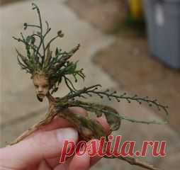 Лесные духи от молодого художника Chicorydell