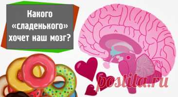 КАКОГО «СЛАДЕНЬКОГО» ХОЧЕТ НАШ МОЗГ? РОЛЬ САХАРА В РАБОТЕ ГОЛОВНОГО МОЗГА
