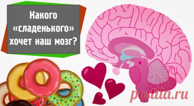 КАКОГО «СЛАДЕНЬКОГО» ХОЧЕТ НАШ МОЗГ? РОЛЬ САХАРА В РАБОТЕ ГОЛОВНОГО МОЗГА