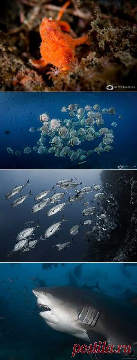 35PHOTO - nadeika - Рыжая красотка в ромашках