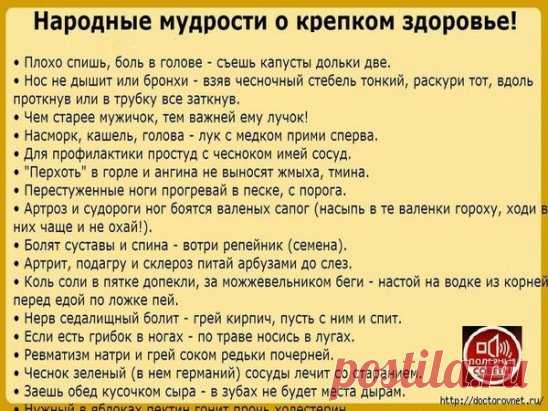 • Плохо спишь, боль в голове - съешь капусты дольки две.
• Нос не дышит или бронхи - взяв чесночный стебель тонкий, раскури тот, вдоль проткнув или в трубку все заткнув.
• Чем старее мужичок, тем важней ему лучок!
• Насморк, кашель, голова - лук с медком прими сперва.
• Для профилактики простуд с чесноком имей сосуд.
• 