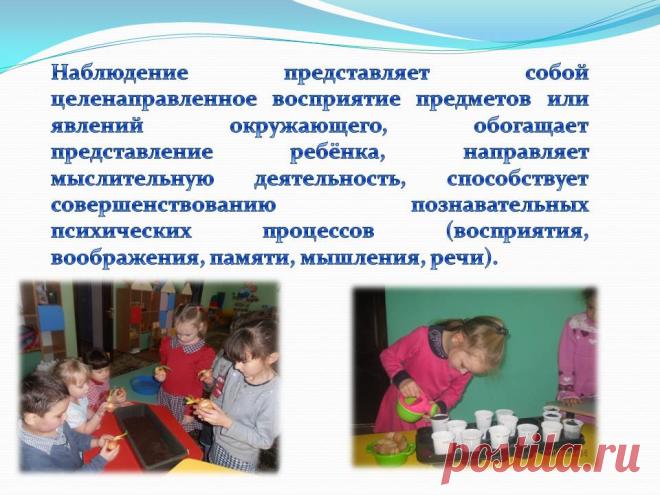 Наблюдение представляет собой целенаправленное восприятие предметов - Презентация 230965-20