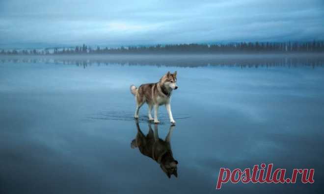 15 невероятных фотографий, которых не касался фотошоп