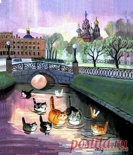питерские коты - Поиск Google