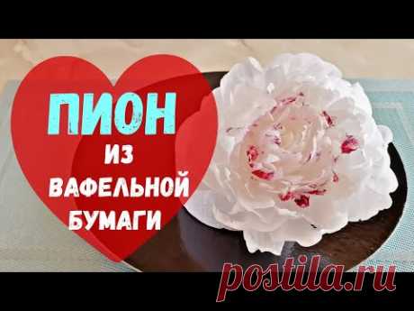 Пион из вафельной бумаги / Waffle paper peony - YouTube
