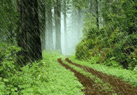 forumelelegiflimanzararesimleri102_zps9701f8bb.gif photo by forumelele-canasli