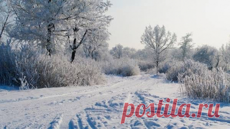 nadin nadinka
Украина, Дружковка