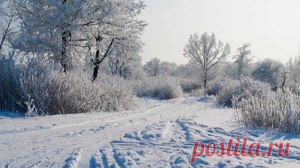 nadin nadinka
Украина, Дружковка