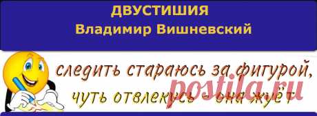 Потрясающие двустишия Владимира Вишневского &amp;raquo; Женский Мир