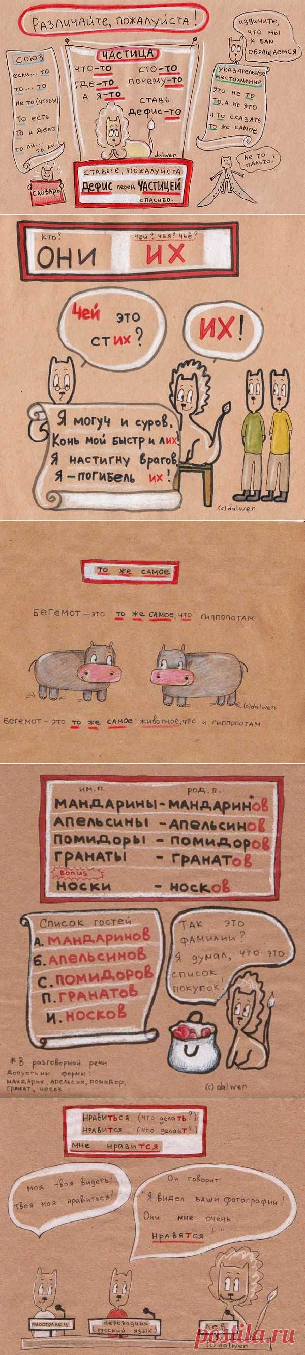 Правила русского языка  в картинках
