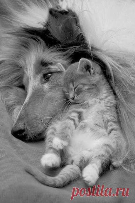 Marie (@m77481070) / Twitter