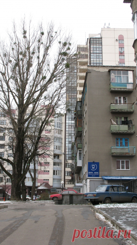 Дворы города. Ул. Зоотехническая от ул.Морозова