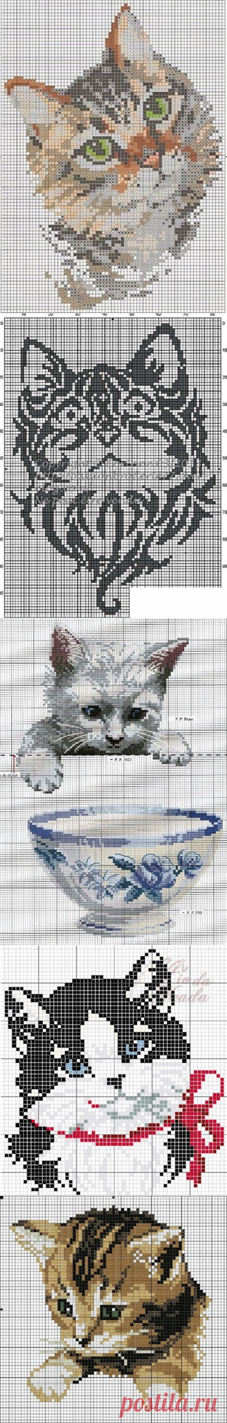 Котики ... 14 схем для вышивки крестом (+24 дополнительные)