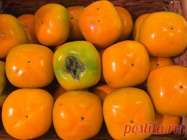 В чем опасность хурмы для здоровья человека 🚩 Продукты питания