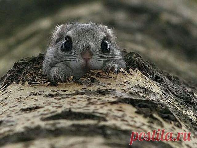 Вам и не снилось...
W G