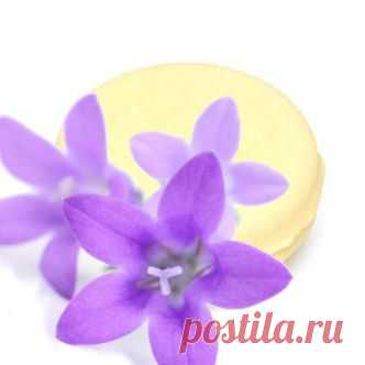Ароматные фиалки | Мыловарение рецепты