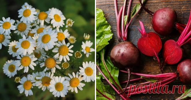 И никакой химии!