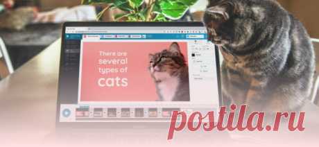 Tips and Hacks to Create Pro-Looking Videos (for Non-Designers) | Wave.video Blog
