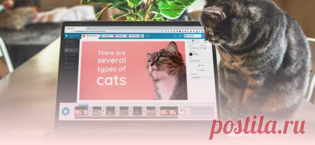 Tips and Hacks to Create Pro-Looking Videos (for Non-Designers) | Wave.video Blog