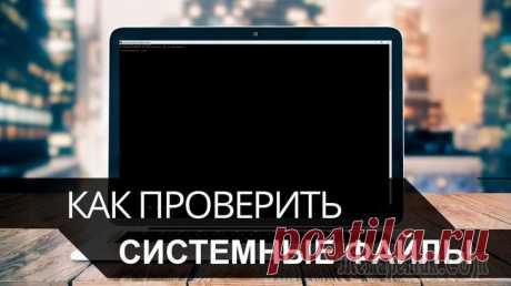 Сельсовет у компа