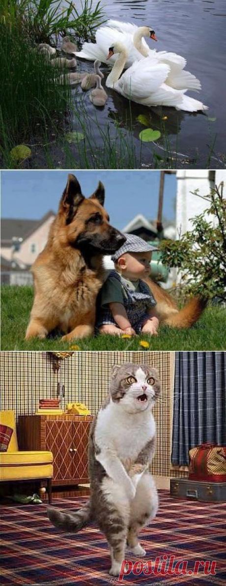 Одноклассники