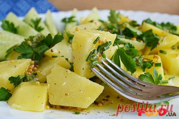 Салат з картоплі та весняної зелені - Кулинарные рецепты на Food.ua