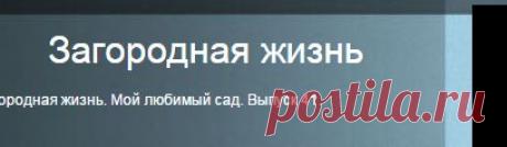 Мой любимый сад - Выпуск 41