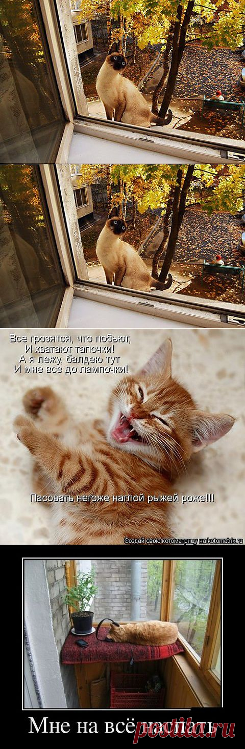(+1) тема - Осеннее настроение | Непутевые заметки