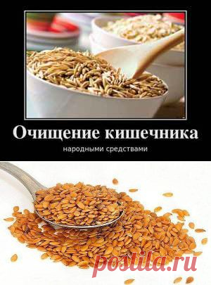 ОЧИЩАЕМ КИШЕЧНИК | Domosedkam.ru