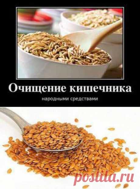 ОЧИЩАЕМ КИШЕЧНИК | Domosedkam.ru