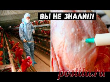 ВСЯ ПРАВДА О КУРИНОМ МЯСЕ!!! ВРЕД куриного мяса.