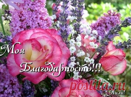 Художник Бруно Ди Майо (Bruno Di Maio), Италия