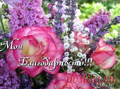 Художник Бруно Ди Майо (Bruno Di Maio), Италия