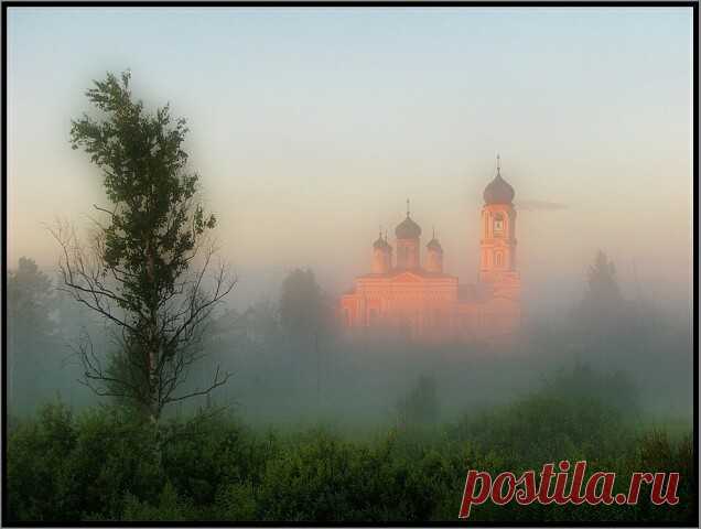 Мудрости жизни