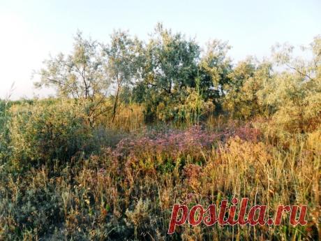 Фотоповествование о походе яхтенном. Часть шестая. Море Азовское, косы Ачуевская, Ясенская и т.д. ... - 14 Января 2019 - Персональный сайт