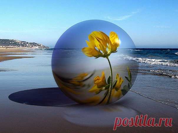 Измени отношение к вещам, которые тебя беспокоят, и ты будешь от них в безопасности.

Марк Аврелий