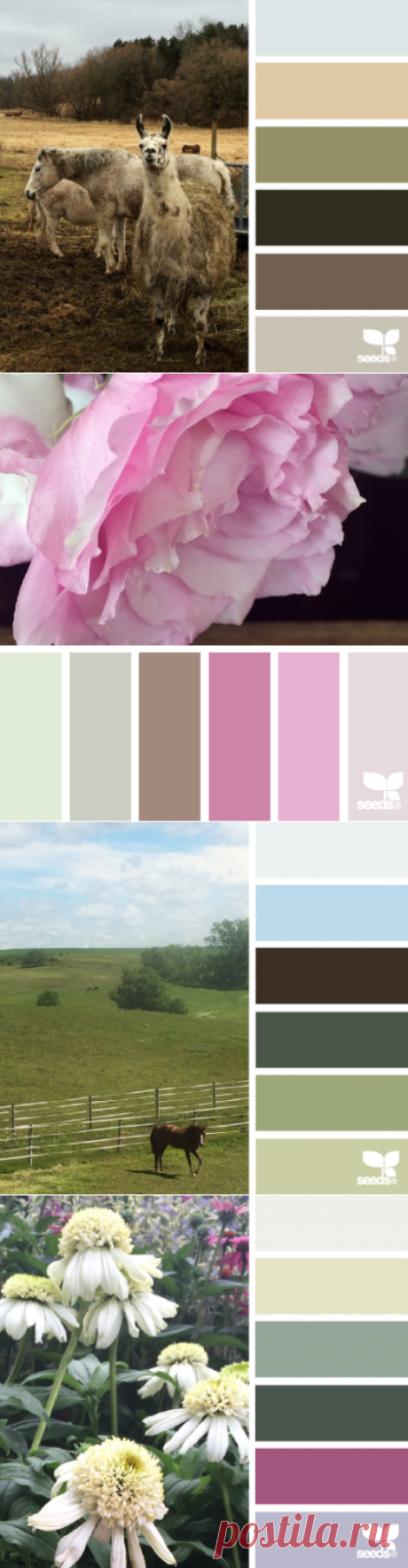 design seeds | for all who ♥ color