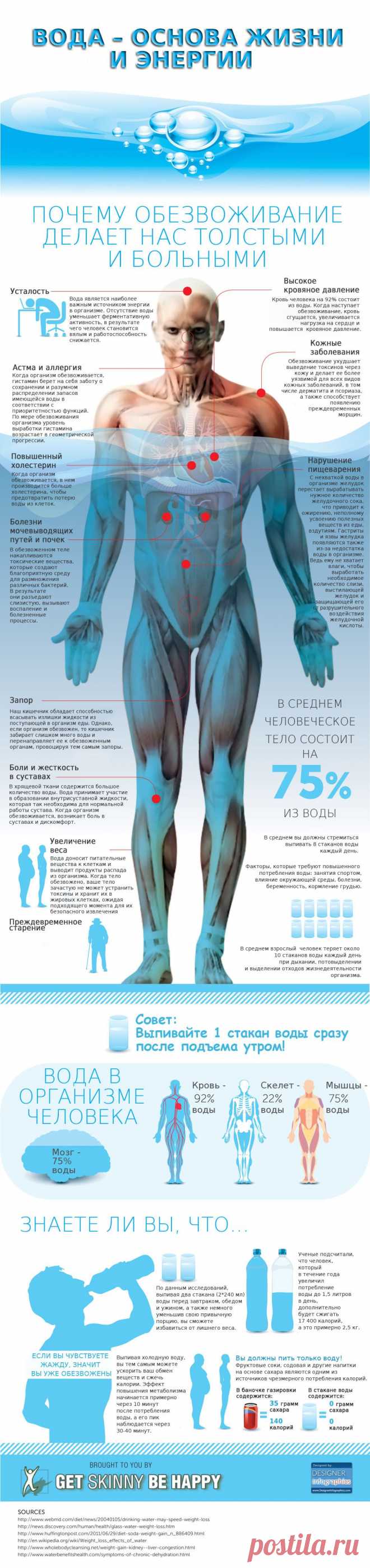 ИНФОГРАФИКА: Зачем нужно пить воду? | Лайфхакер
