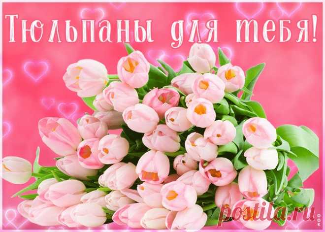 Картинка розовые тюльпаны
