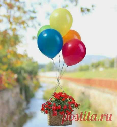 cute beautiful things for dp – Google Поиск