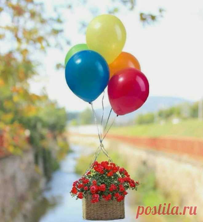 cute beautiful things for dp – Google Поиск
