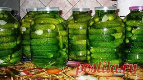 Огурчики казачьи похмельные ( ОЧЕНЬ ХОРОШИЙ РЕЦЕПТ) Огурцы сохраняют прелестный зеленый цвет, приобретают неповторимый вкус и очень хорошо хранятся....