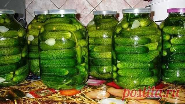Огурчики казачьи похмельные ( ОЧЕНЬ ХОРОШИЙ РЕЦЕПТ) Огурцы сохраняют прелестный зеленый цвет, приобретают неповторимый вкус и очень хорошо хранятся....