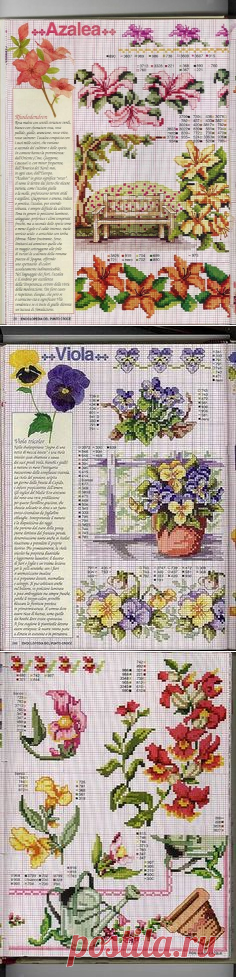 (878) Pinterest