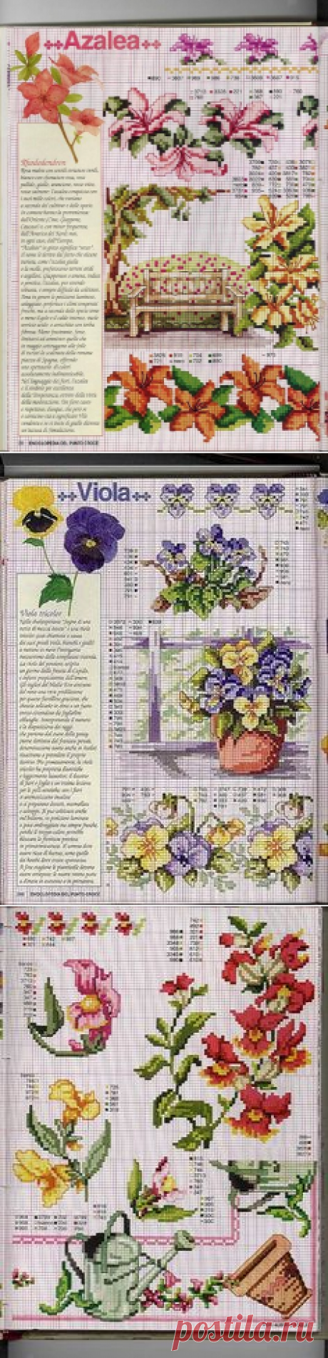 (878) Pinterest